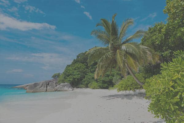 Inter Property Phuket - Tours
