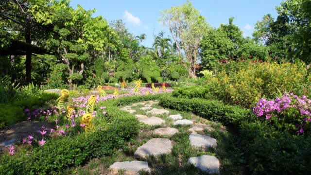 Landscape backyard