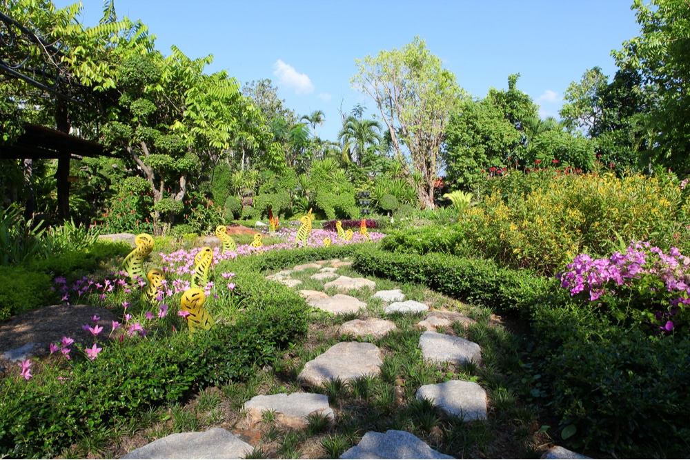 Landscape backyard