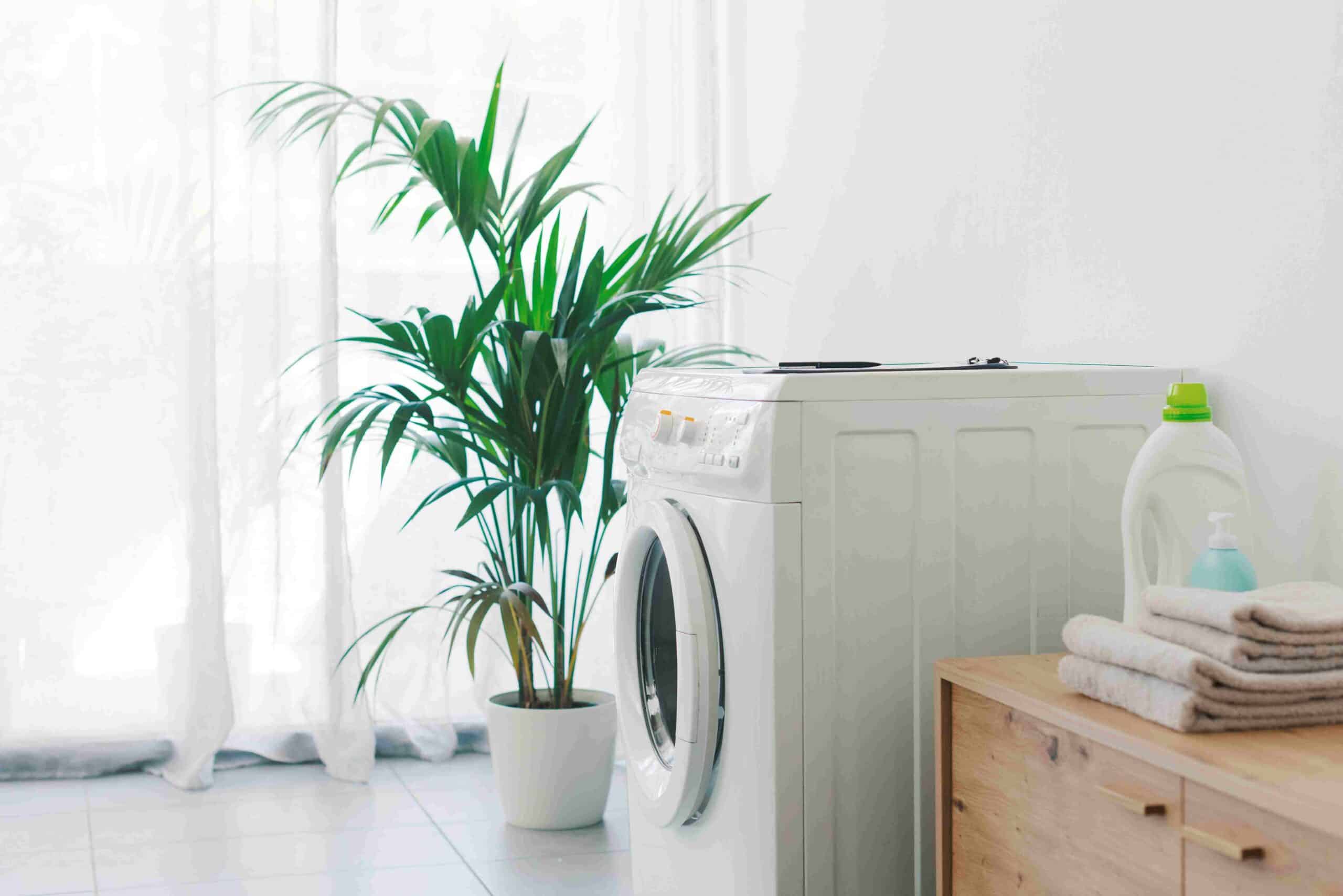 washing-machine-in-the-laundry-at-home-2024-10-11-01-15-44-utc_11zon