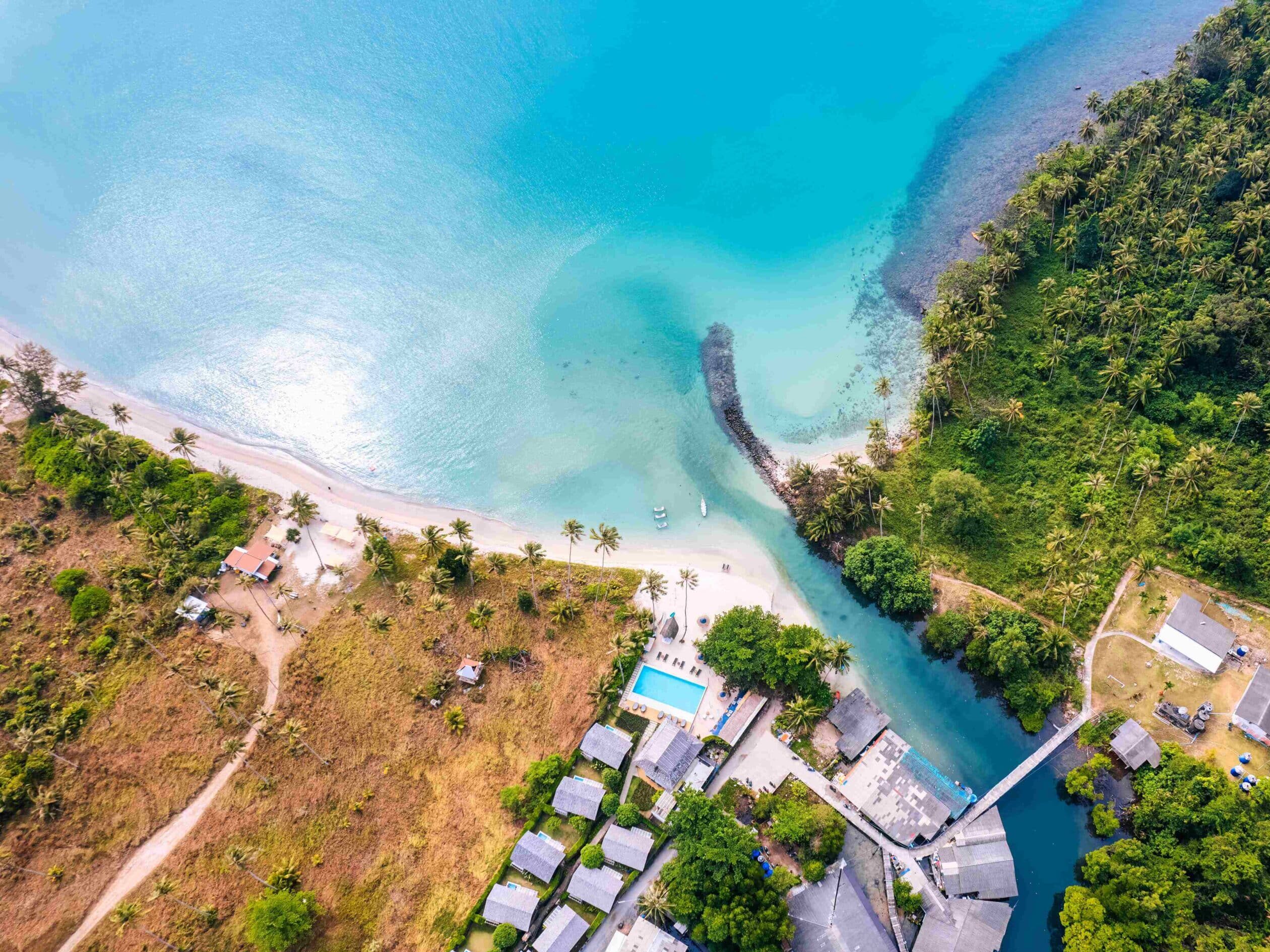 beautiful-tropical-sea-beach-with-palm-forest-and-2025-03-25-07-54-38-utc (1)_11zon
